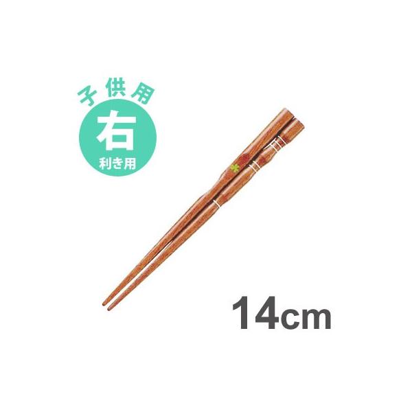 CV_ O_x ͂ q Ep14cm  ΂  E LbY  K   ͂  䂤pPbg[MT0]