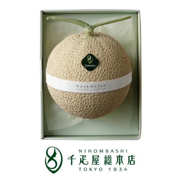 { D{X }XN1 1.3kg ϔb Mtg v[g 蕨 i p  