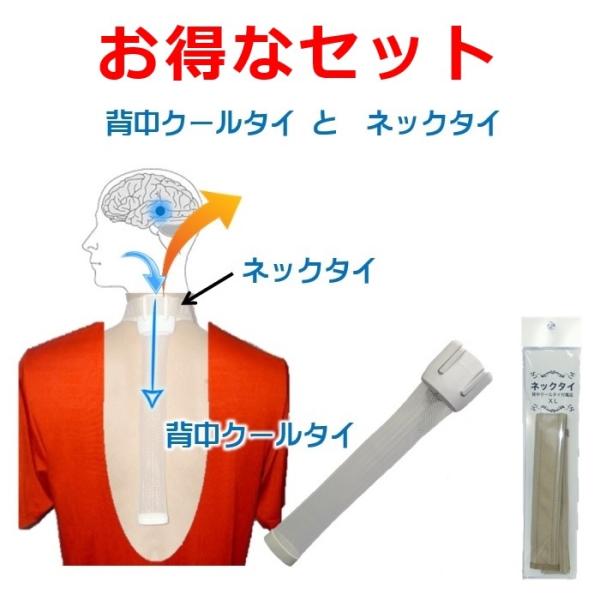 転売 痩せる細胞がサポートするダイエット器具 背中クールタイ 15本セット袋付き senakacool_0-0001