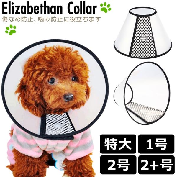 GUxXJ[  L \tg^ ^  ybgp (卆`2+) y Ȃߖh~ LY~h~ ی pi veNVJo[ A