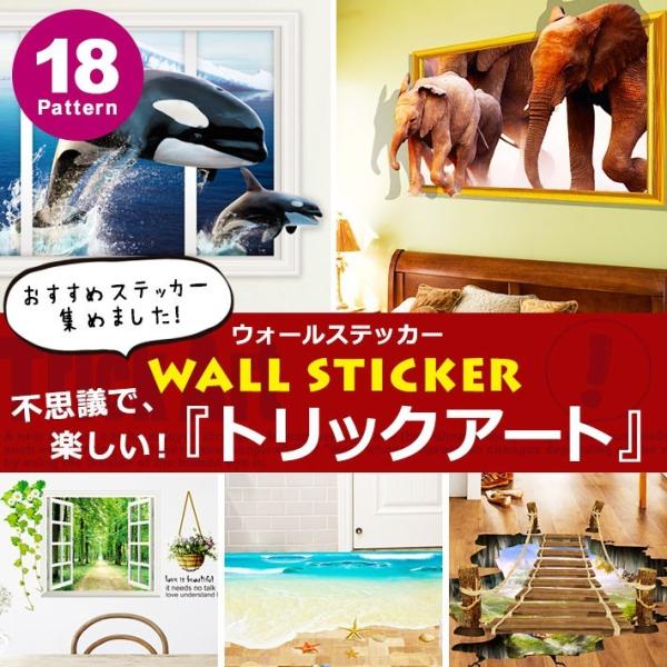 gbNA[g EH[XebJ[    k r F C яo CJ yM  ]E L \Ă͂ ǎ V[ C