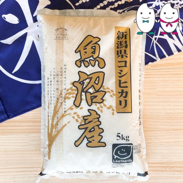 コシヒカリ お米 5kg 新潟県魚沼産コシヒカリ 令和6年産 : 千田 コシヒカリ お米 5kg 新潟県魚沼産コシヒカリ 令和6年産 : 千田