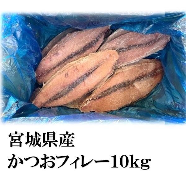 業務用 宮城県産 かつおフィレー１０ｋｇ（約１１〜１５枚）（１３８０円/１ｋｇ）