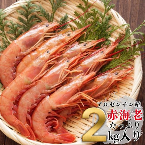 アルゼンチン産赤エビ 2kg L2サイズ 40〜60尾入 送料無料 生食用 冷凍