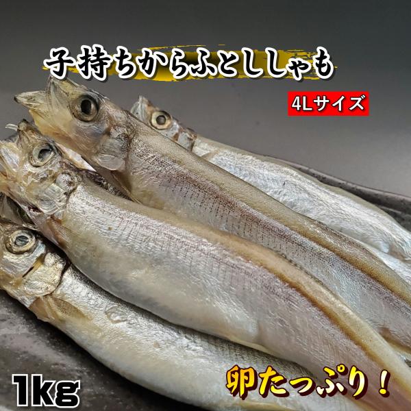 商品詳細商品名： 子持ちからふとししゃも産地名：アイスランド産、又はカナダ、ノルウェー産）加工国:  中国原材料名：ししゃも（ノルウェー産）、食塩、内容量：約1kg賞味期限：解凍後5日 保存方法：冷凍（解凍後は5日以内にお召し上がりください...