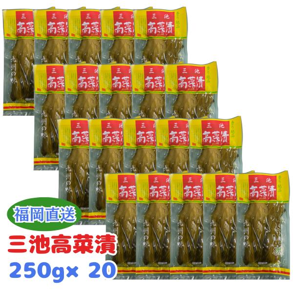 野口食品 三池高菜 250g×20袋 高菜漬け ご飯のお供 九州 三池高菜 漬物 福岡 醤油漬 国産 おかず おつまみ 郷土料理 特産品 お取り寄せ グルメ 惣菜