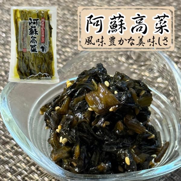 誠食品 阿蘇高菜 10袋セット阿蘇高菜 漬物 国産高菜 ごはんのお供 九州名物 高菜ごはん 高菜炒め 無添加漬物 熊本土産 阿蘇名物 ご飯のおとも 九州漬物