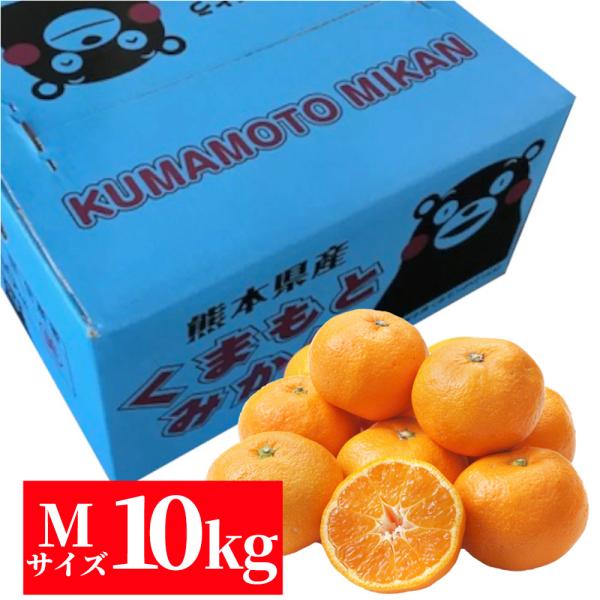 商品詳細　商品名　　：熊本産　みかん10kg　産地名　　：熊本産　内容量　　：１箱約10kg等級・サイズ：秀品・Mサイズ　保存方法　：冷暗所で保存してください。　配送方法　：常温便　配送料金　：送料無料（一部地域を除く）　注意事項　：到着後...