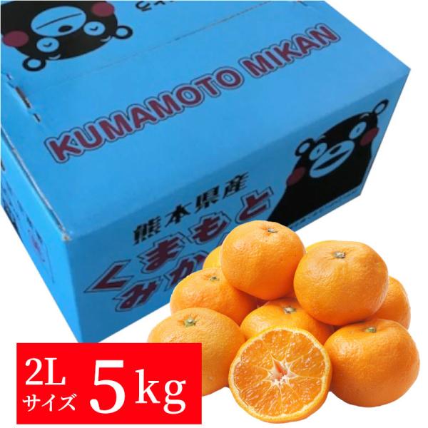 商品詳細　商品名　　：熊本産　青島みかん5kg　産地名　　：熊本産　内容量　　：１箱約5kg等級・サイズ：秀品・2Lサイズ　保存方法　：冷暗所で保存してください。　配送方法　：常温便　配送料金　：送料無料（一部地域を除く）　注意事項　：到着...