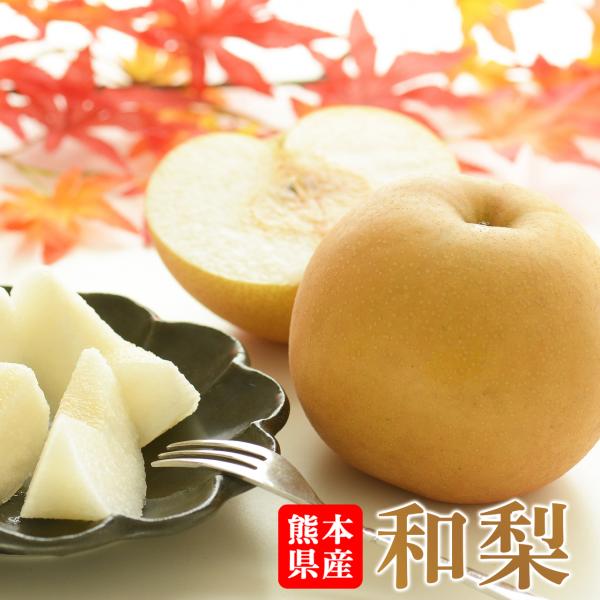 熊本県産 梨 5個(１個約400~500g)【夏ギフト お祝い お取り寄せ 贈答 お誕生日 お礼 ギフト 敬老の日 残暑見舞い】