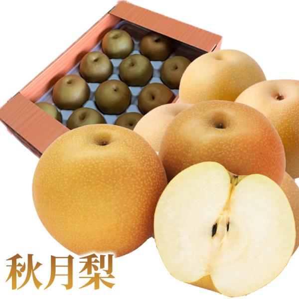 熊本産　秋月梨約５kg（8玉〜１0玉入り） 送料無料 ギフト・ご贈答用 果物ギフト ご家庭用 贈り物 梨