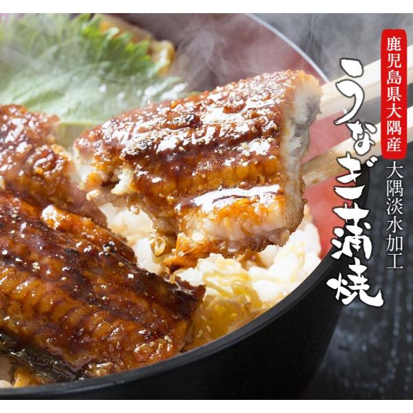 丑の日予約 鹿児島大隈産 大隈淡水加工 うなぎの蒲焼 5尾入り 養殖 冷凍 １尾あたり約180g〜210g ご家庭用 ご贈答用