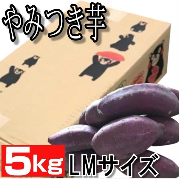 商品詳細　商品名　　：熊本産紅はるか　産地名　　：熊本　内容量　　：約５kg等級・サイズ：ＡＢ品・LまたはMサイズ丸形　配送料　　：送料無料（一部地域を除く）　　　　　　　北海道への配送は５００円配送料いただきます。　配送方法　：常温便　保...