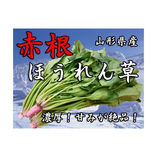 山形県産　赤根ほうれん草