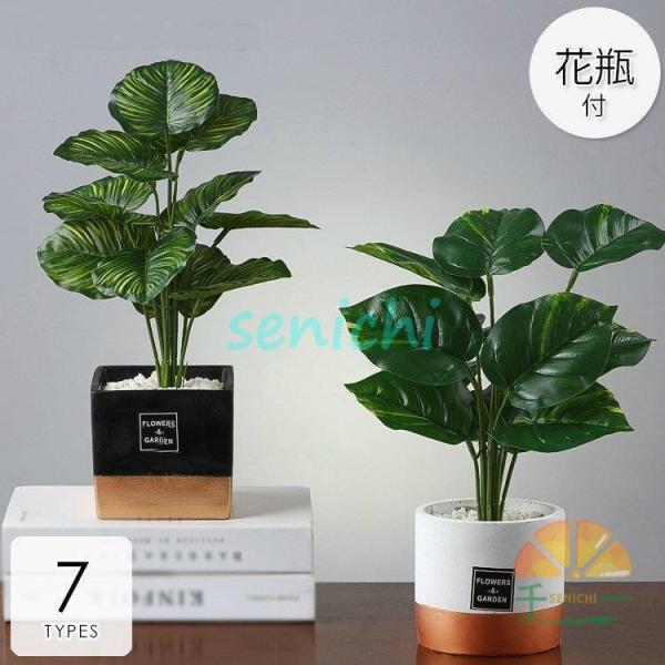  CeA ԕrt t[AWg u[P p[c 傫  v[g Mtg zj j ސEj t k