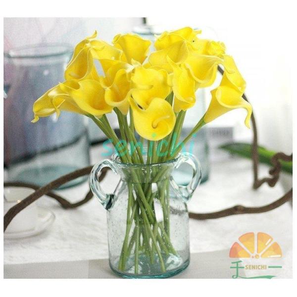  CeA AW DIY ԑ u[P ֑   5{ JXj Mtg 䋟 ItBX a v[g ԕr z  ސEj