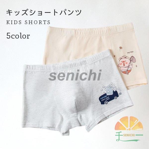 V[gpc ZbgAbv LbY  j̎q 140 150  Rbg WjA q Vv  ₷ {gX 4_Zbg