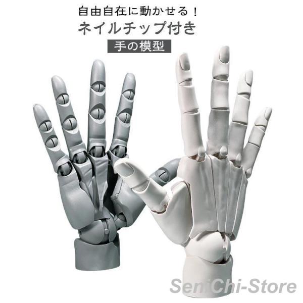 L 1/1 R ネイルチップ付き 右手 スキンカラー 左手 ホワイト 可動式 バイオニック指関節 アニメ デッサン用素体美術 フィギュア 曲げられるス
