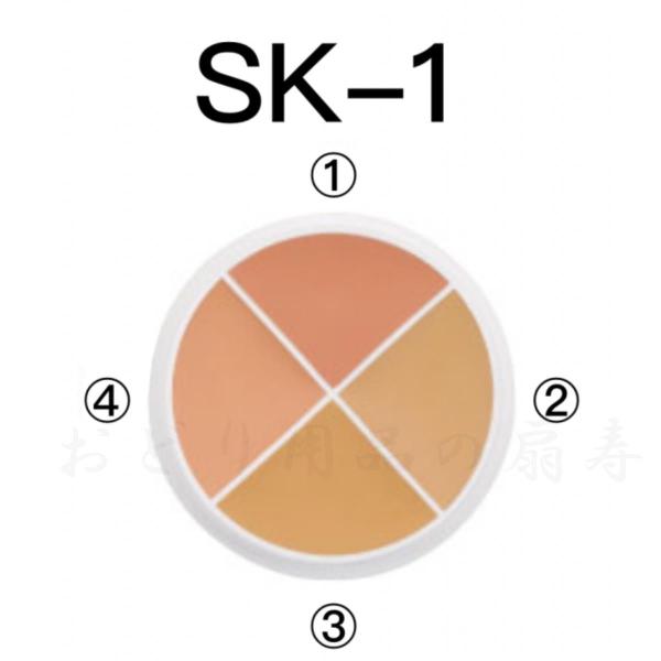 ベンナイ コンシーラーアソート SK-1 : おどり用品の扇寿 Yahoo!店