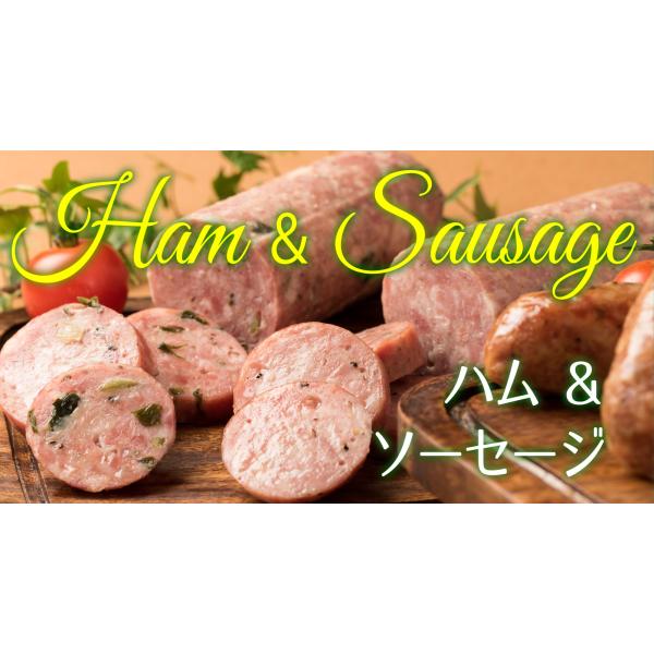 長沼あいす 超あらびきウインナー ガーリック 5個セット Apaproduction Fr