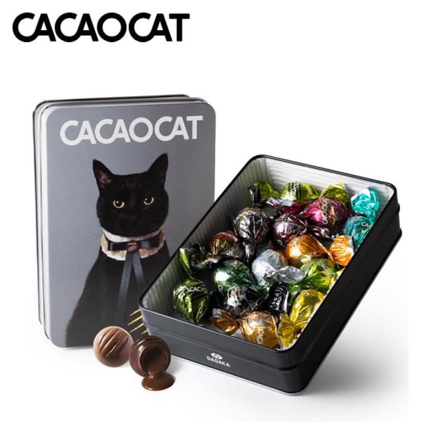 DADACA CACAOCATダダカ カカオキャット空缶お菓子缶 猫 ねこ ネコ CACAOCAT 缶 14個入 CAT 2個セット 送料無料 北海道 お土産 ギフト