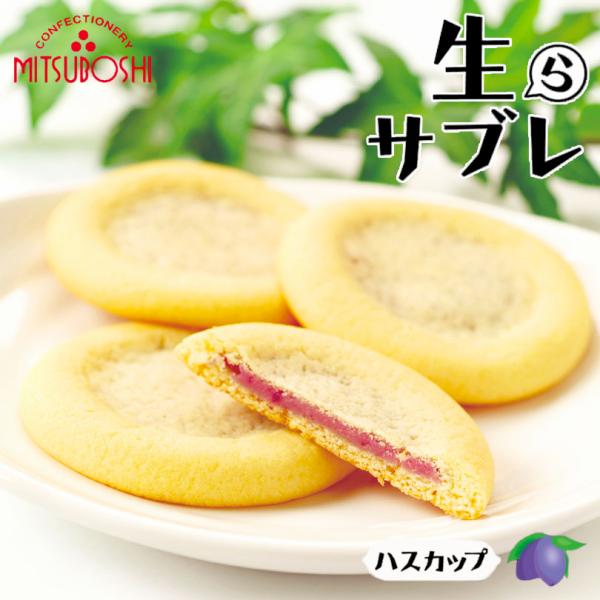 三星 生らサブレ ハスカップ 5個入 5個セット 送料無料 送料込 北海道