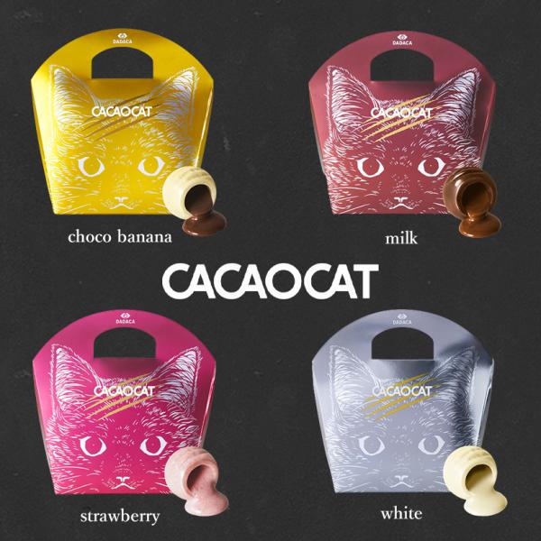 CACAOCAT 5入 4種類から選べる1個 送料無料 北海道 チョコレート お土産 手土産 人気 ダーク ミルク 抹茶 ホワイト ストロベリー  カカオ :CACAOCAT6e-1:北海道銘菓 センカランド 通販 