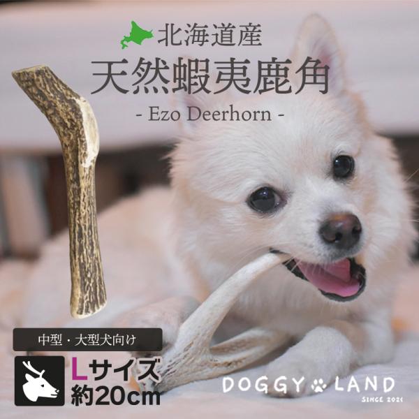Deerhorn【Lサイズ】北海道産 鹿角 ペット 犬 おもちゃ 大型犬