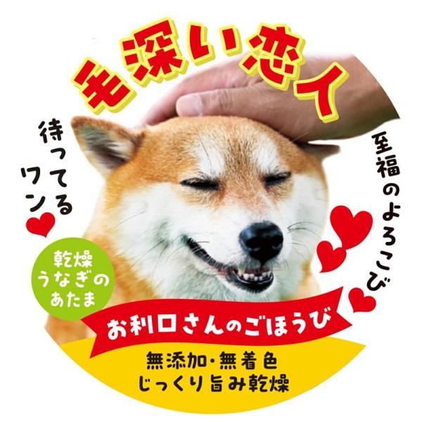 犬用 おやつ 毛深い恋人 うなぎのあたま お利口さんのごほうび 送料