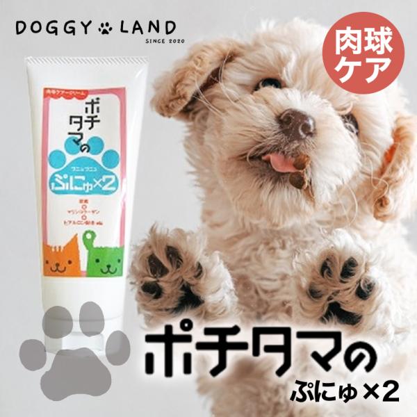 ポチタマのぷにゅぷにゅ 100g チヨペット 【製造年月日2026.4.1】送料無料 肉球ケアクリーム 肉球保護 犬用 猫用 犬猫兼用