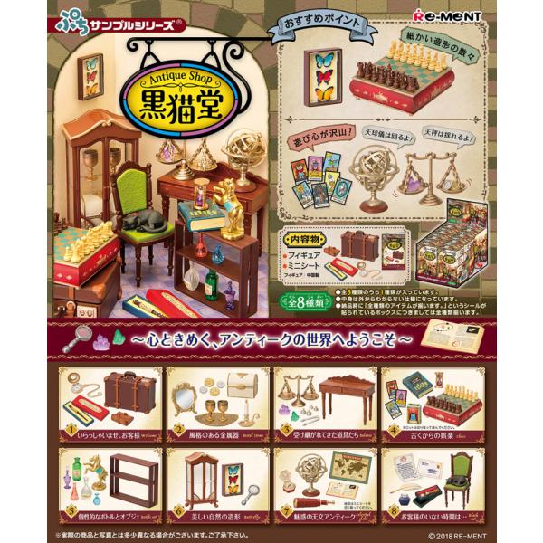 senkai-belle-de-nuit_211005-rm