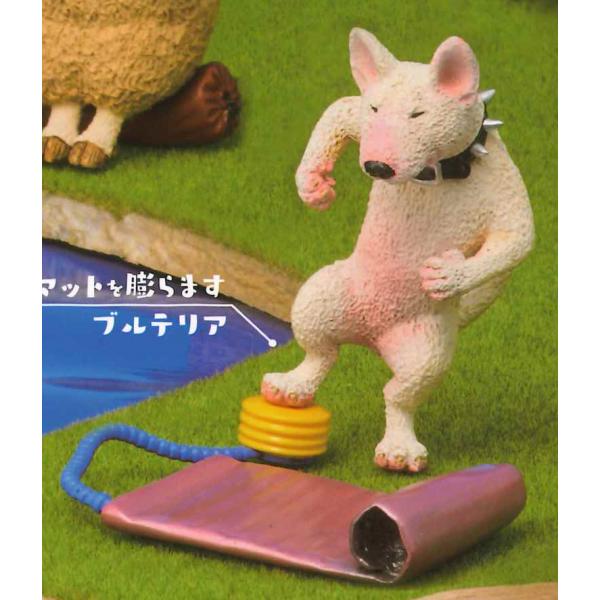 ユニオンクリエイティブ ガチャ 朝隈俊夫 アニマル・キャンプ4 animal camp part4 【エアーマットを膨らますブルテリア】
