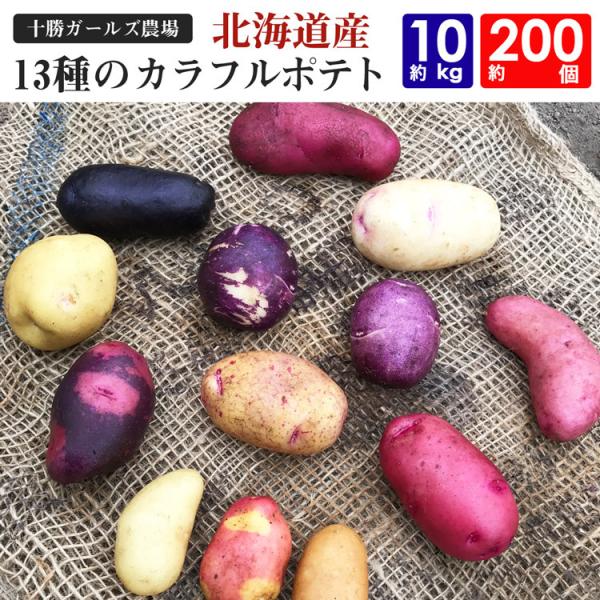 北海道産 カラフルポテト 十勝ガールズ農場 13種のじゃがいも 常温便 同梱不可 指定日不可 Buyee Buyee Jasa Perwakilan Pembelian Barang Online Di Jepang