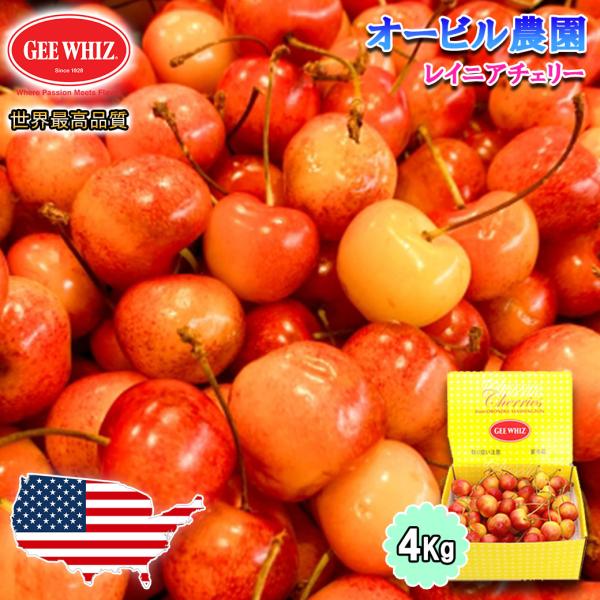 オービル農園 アメリカンチェリー GEE WHIZ 大粒 レイニアチェリー 4kg さくらんぼ 世界最高品質 レーニア チェリー cherry 【7月1日〜7月31日出荷予定】