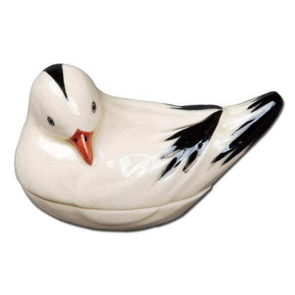 PayPay|Cg5%(SzPayPaycŎx LINEƘAg)      s Ǔ Mtg ʔ I