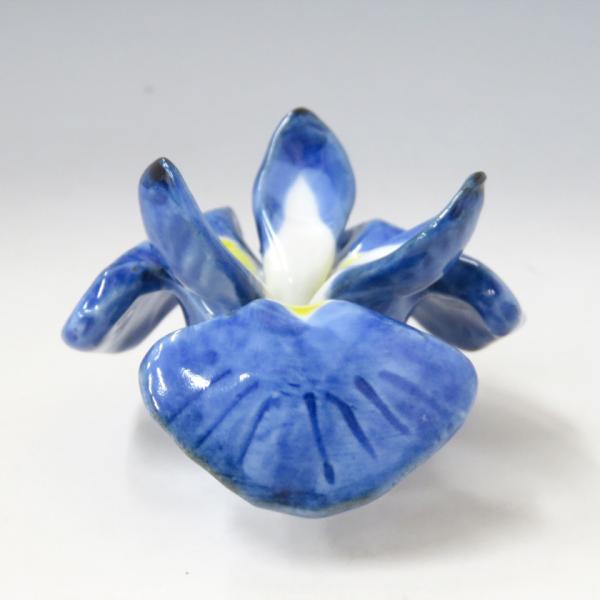 PayPay|Cg5%(SzPayPaycŎx LINEƘAg)  Wuiӂj Wu FG m  