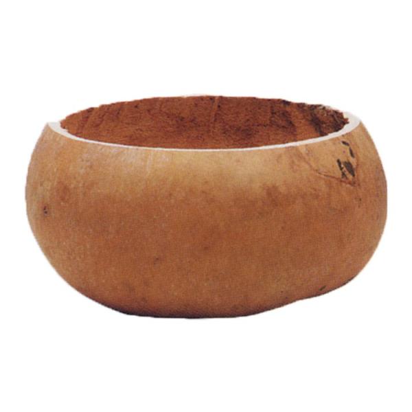 PayPay|Cg5%(SzPayPaycŎx LINEƘAg)  YliYE݂Ƃj ӂ Yl Mtg ʔ I