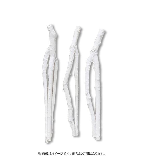 PayPay|Cg5%(SzPayPaycŎx LINEƘAg)  Yi݁j }YiFpj 摜̓C[WłB