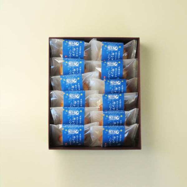 nEB َq XC[c 2025  tBiVF ꌧ uh ݂ ӂȂ񂵂 12