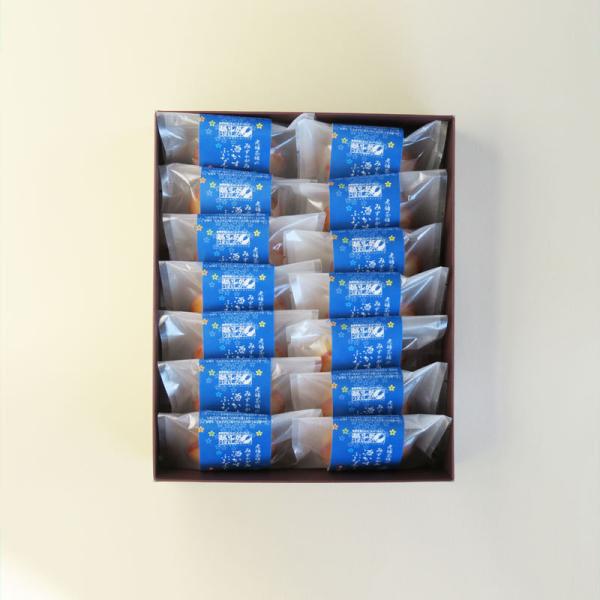 nEB َq XC[c 2025  tBiVF ꌧ uh ݂ ӂȂ񂵂 14