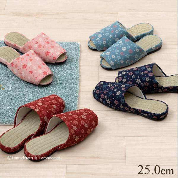 Xbp [V[Y qp    t  ėp Xbp TN 25.0cm ZR[