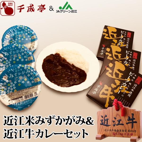  gg ߍ]Ă݂݁ߍ]gp{ihEldẴr[tJ[3ZbgiȂj j j Mtg v[g