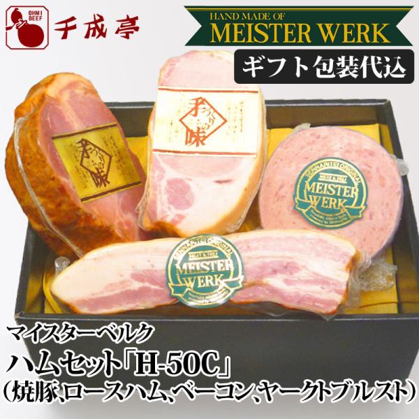 n \[Z[W }CX^[FN nZbg H-50C Mtg㍞ j j Mtg v[g