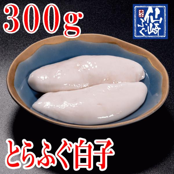 とらふぐ　とらふぐ白子　300g　冷凍【山口県産仙崎ふぐ】