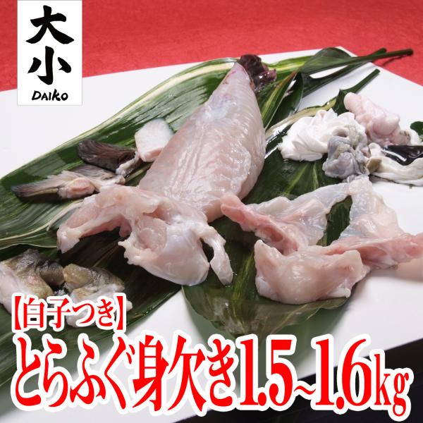 とらふぐ　ふぐ白子　白子付きとらふぐ身欠き1.5〜1.6kgサイズ　冷蔵　干しひれ付き 【山口県産仙崎ふぐ】
