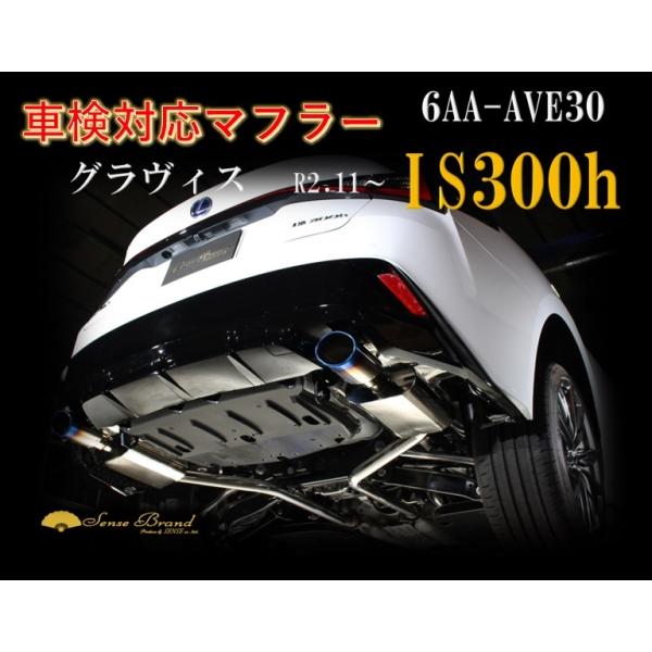 sensebrand_6aa-ave30-rem-gravis