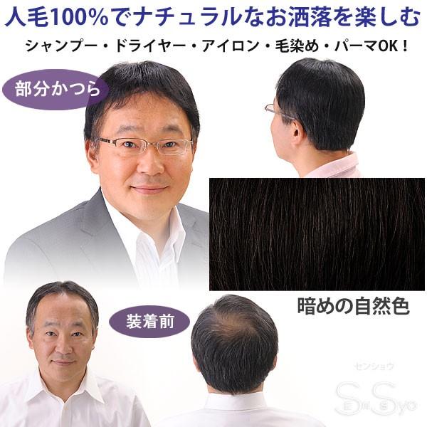 男性用 紳士用ヘアピース 自然な部分かつら 暗め自然色 人工地肌付 HPN 