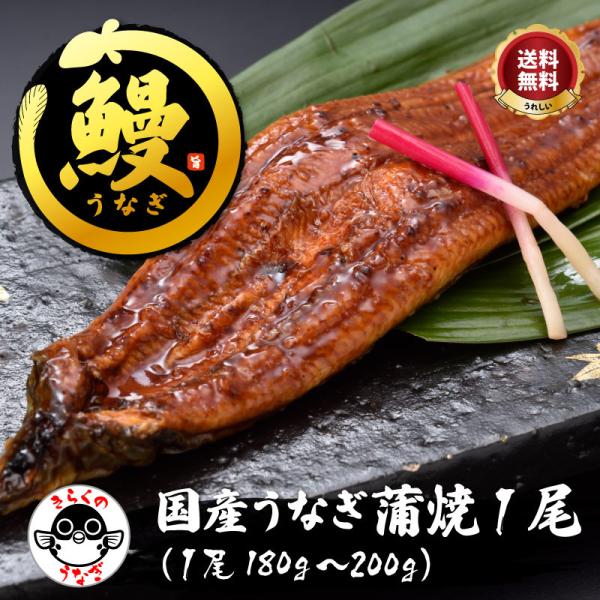 【品名】「国産うなぎ蒲焼1尾／超冷」【内容量】国産うなぎ蒲焼（1尾180g〜200g）、蒲焼のたれ×2（山椒付き）、うなぎ蒲焼レシピ【消費期限】 製造後90日（冷凍保存）解凍後2日間（冷蔵保存）【産地】山口県・鹿児島県【配送方法】クロネコク...