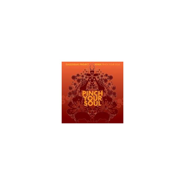 clazziquai project k-pop 韓国盤 CLAZZIQUAI / Pinch Your Soul(2nd Remix Album)｜韓国 K-POP CD