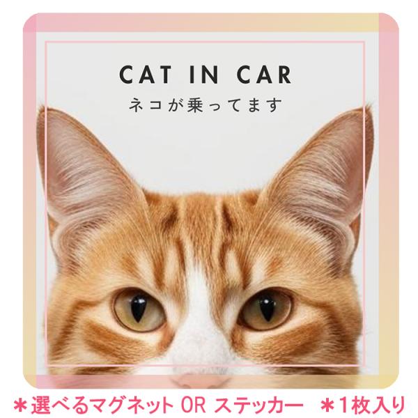【保護猫活動】へ参加できる、当店オリジナルステッカーです。ねこの車用ステッカーは猫好きの心をくすぐるアイテム！このステッカーは防水仕様なので、雨の日でも安心して使えます。大きめサイズで存在感抜群。猫の写真と「猫と暮らしてます」のメッセージが...